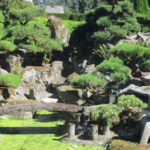 SekoGarden_Bellevue2