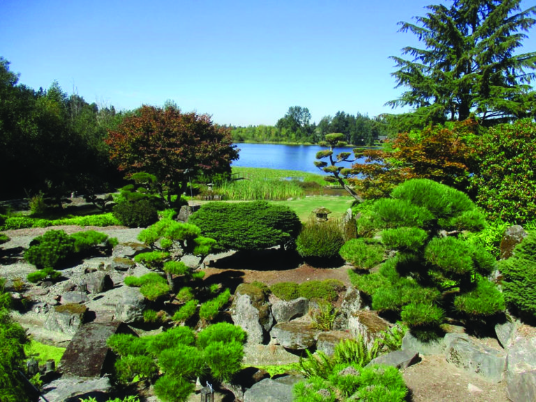 セコ・ガーデン存続の危機 日系の歴史を残す私有日本庭園を救えるか