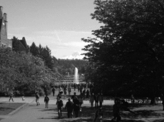 第 11 回 第三章、片脚を失った友との再会