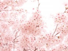 桜の時期へ〜一石