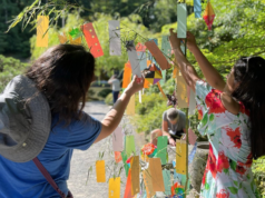 シアトル日本庭園7月のピックアップイベント