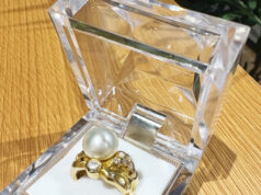 第104代内閣総理大臣〜地球からの贈りもの〜宝石物語〜