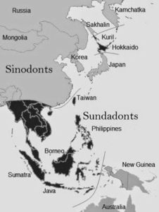 sinodont-sundadont-map-CROP_GRAY_BW | Seattle’s Japanese Community News – North American Post