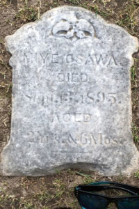 LAKE-VIEW-miye-osawa | Seattle’s Japanese Community News – North American Post