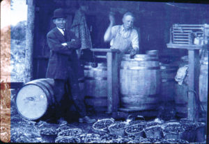 Mukai-Plant-89-Ag | Seattle’s Japanese Community News – North American Post