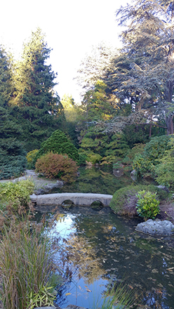 Kubota Garden Seattle 02 North American Post Your Link To