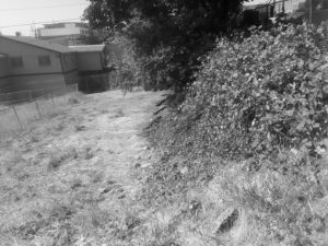 JCCCW-empty-lot-GRAY_web | Seattle’s Japanese Community News – North American Post