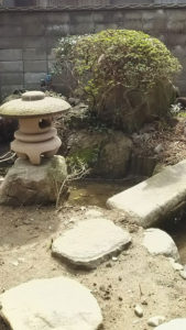 蒲井庭写真_web. | Seattle’s Japanese Community News – North American Post