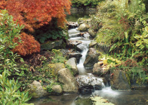 Frank_Hall_2012 | Seattle’s Japanese Community News – North American Post