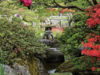 Seattle Japanese Garden Celebrates “Kanreki” 60th Anniversary