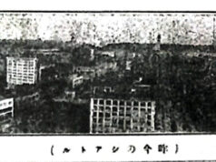 Seattle Development and Flourishing Japantown