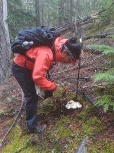 nathan-yamaguchi-jackpot-211023_304 | Seattle’s Japanese Community News – North American Post