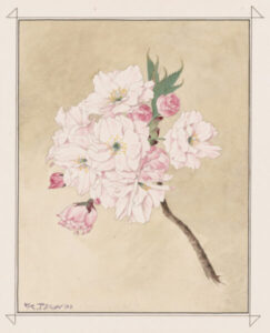 master-pnp-ppmsca-57300-57372u-copy | Seattle’s Japanese Community News – North American Post