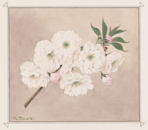 master-pnp-ppmsca-57300-57373u-copy | Seattle’s Japanese Community News – North American Post