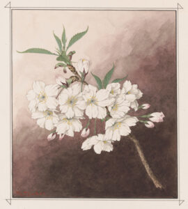 master-pnp-ppmsca-57300-57376u-copy | Seattle’s Japanese Community News – North American Post