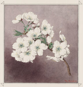 master-pnp-ppss-00800-00839u-copy | Seattle’s Japanese Community News – North American Post