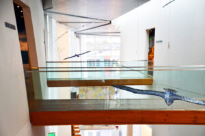 nordic-museum---central-corridor-DSC_4243-PS-ADJ | Seattle’s Japanese Community News – North American Post