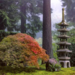 Portland-Japanese-Gardens-Sapporo-Pagoda-Lantern-in-Late-Summer-Dusk-Photo-by-Roman-Johnston | Seattle’s Japanese Community News – North American Post