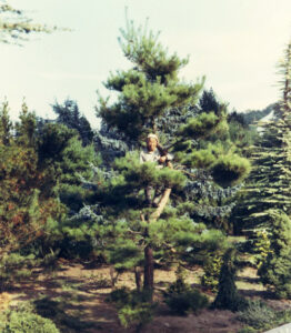 p1-Image_20240519_175613_356 | Seattle’s Japanese Community News – North American Post