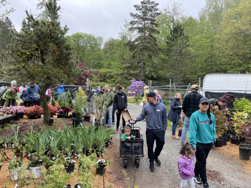 Group of people shopping at an outdoor plant sale with rows of potted plants and trees along a gravel path, in a park setting.
