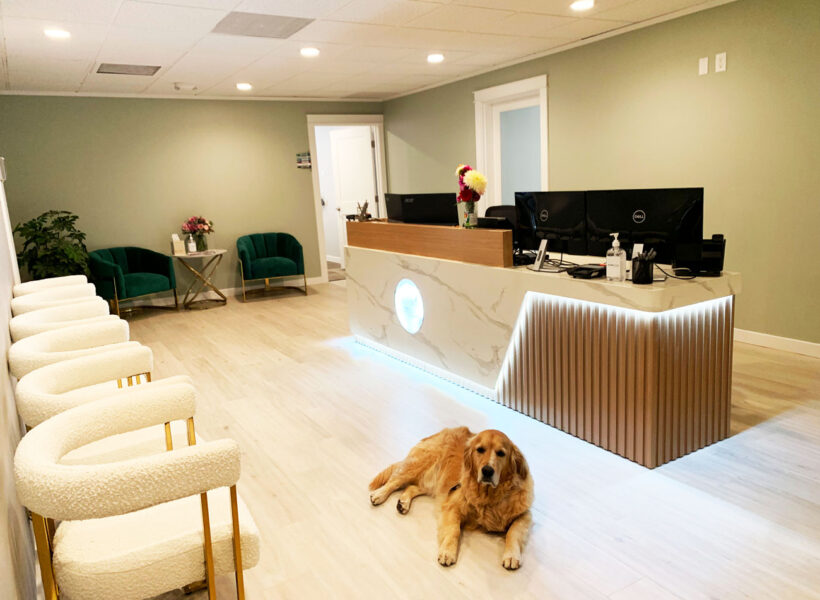 Reception area with a marble-front desk, two computer monitors, and a golden retriever lying on the light wood floor.