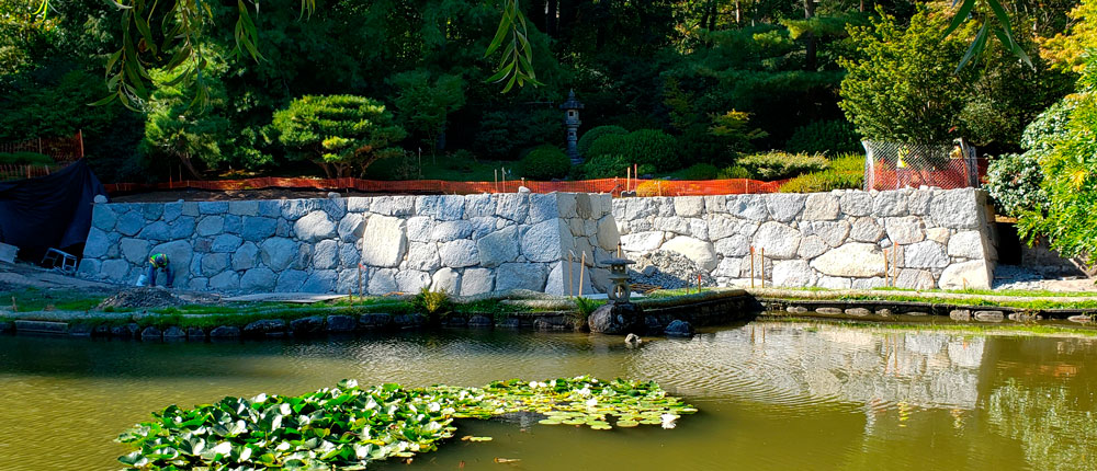 Calm pond with floating lily pads in the foreground and a tall stone wall beyond, surrounded by lush greenery and a small garden area.